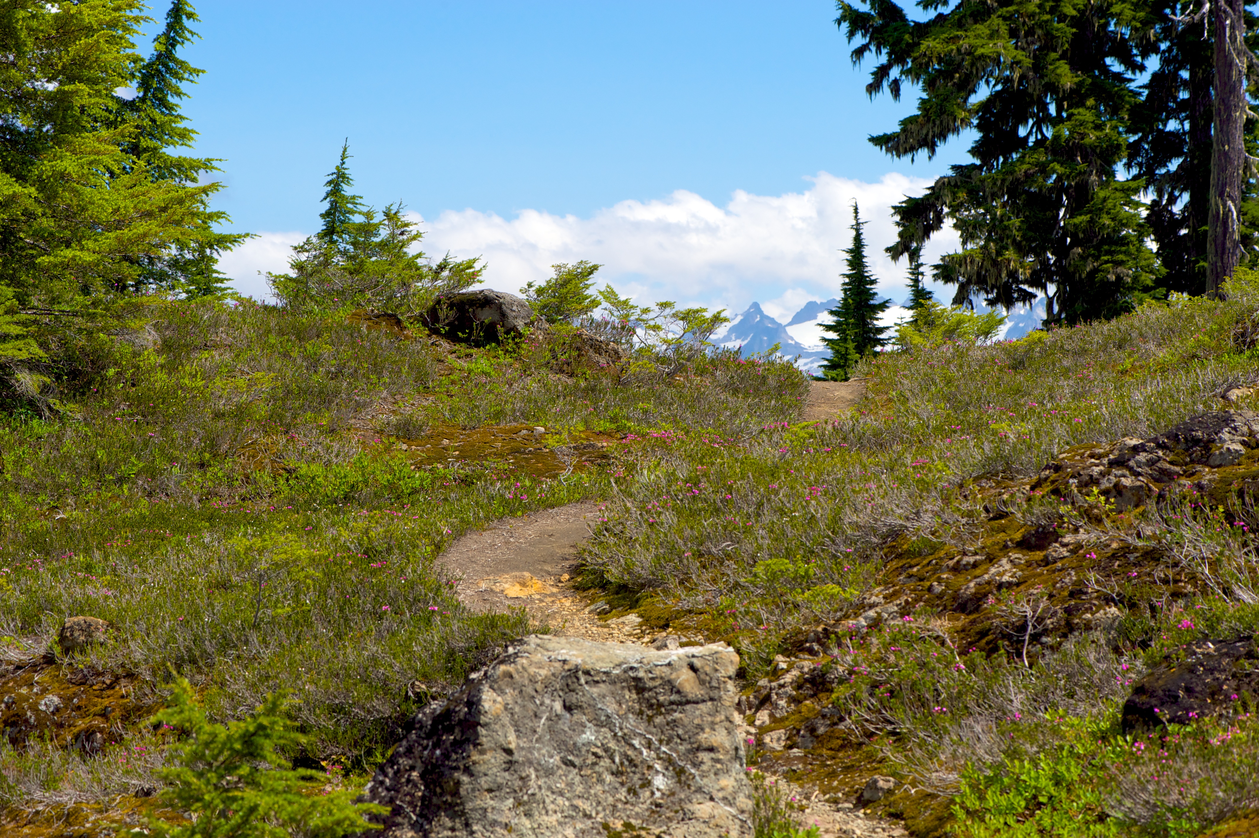Rainbow Ridge