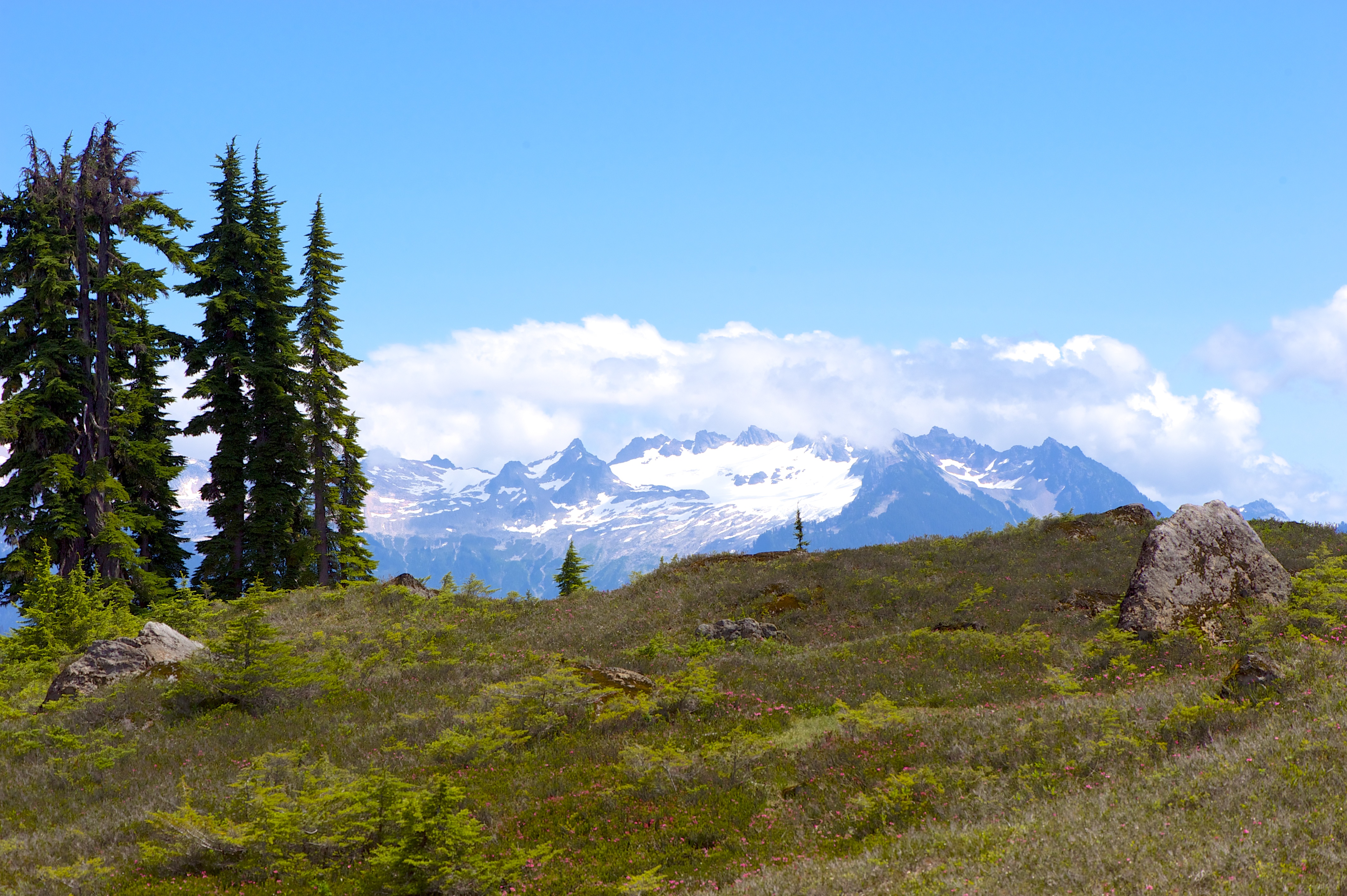 Rainbow Ridge