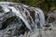 Hike through Englishman River Falls Provincial Park