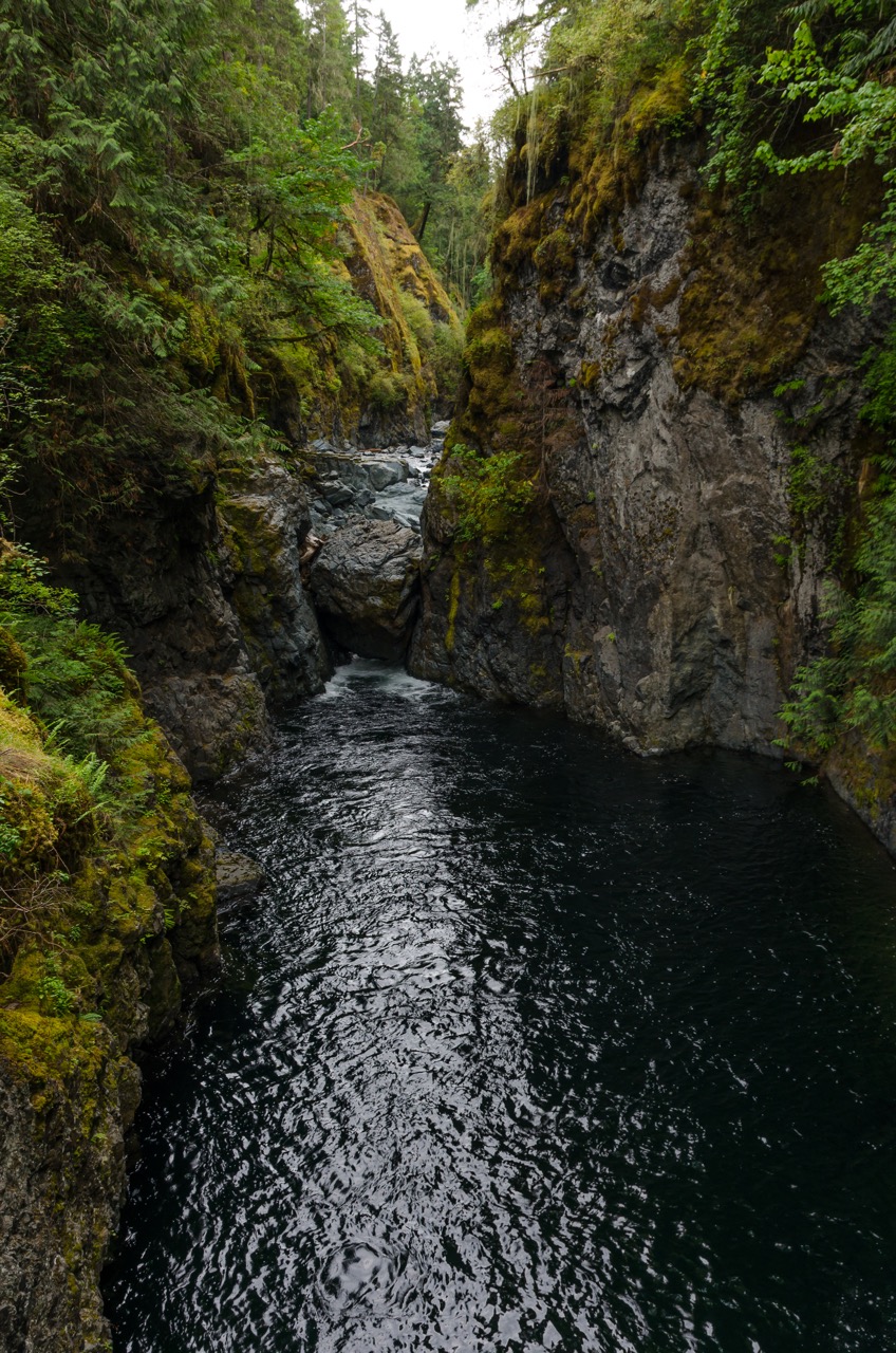 Hike through Englishman River Falls Provincial Park