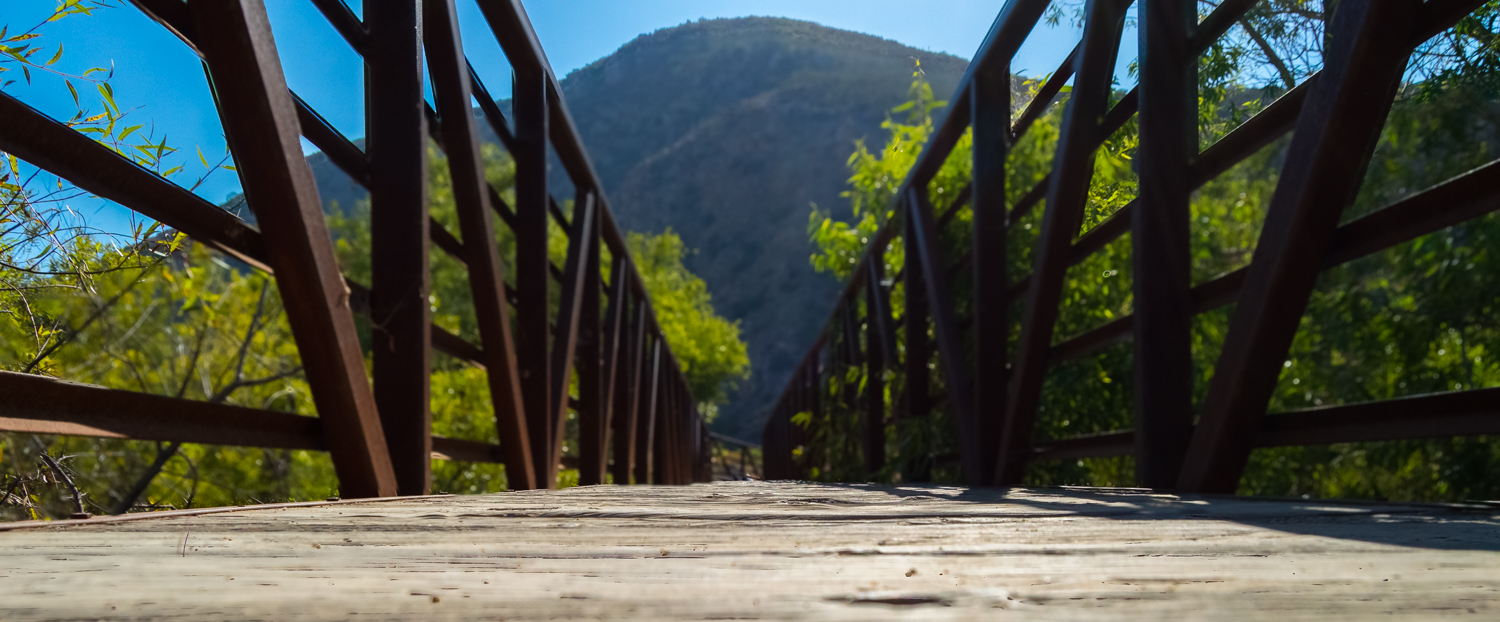 Oak Canyon in Mission Trails Regional Park