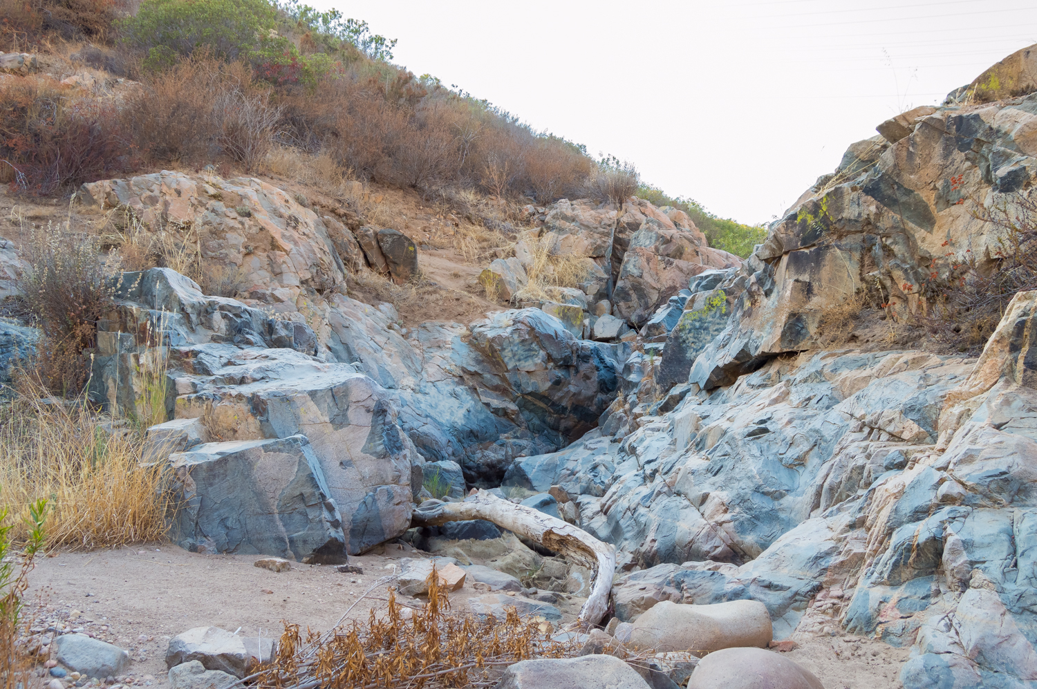 Oak Canyon in Mission Trails Regional Park
