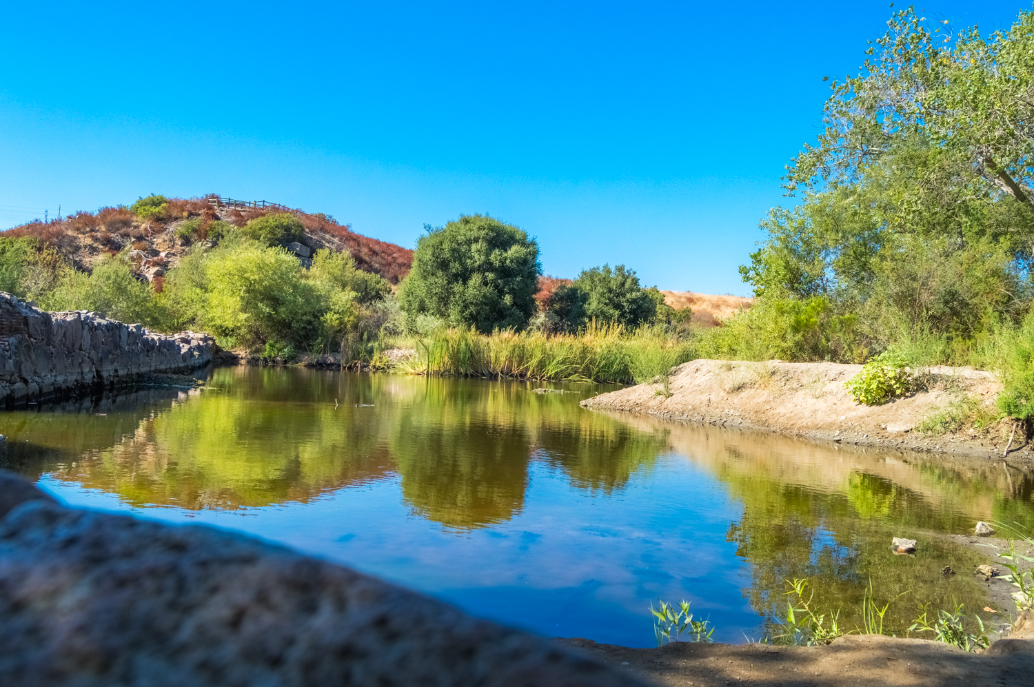 Oak Canyon in Mission Trails Regional Park