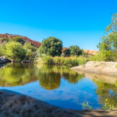 Oak Canyon in Mission Trails Regional Park