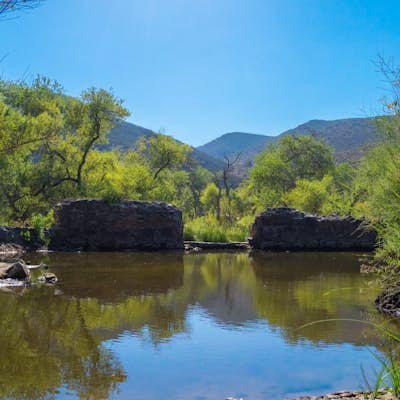 Oak Canyon in Mission Trails Regional Park