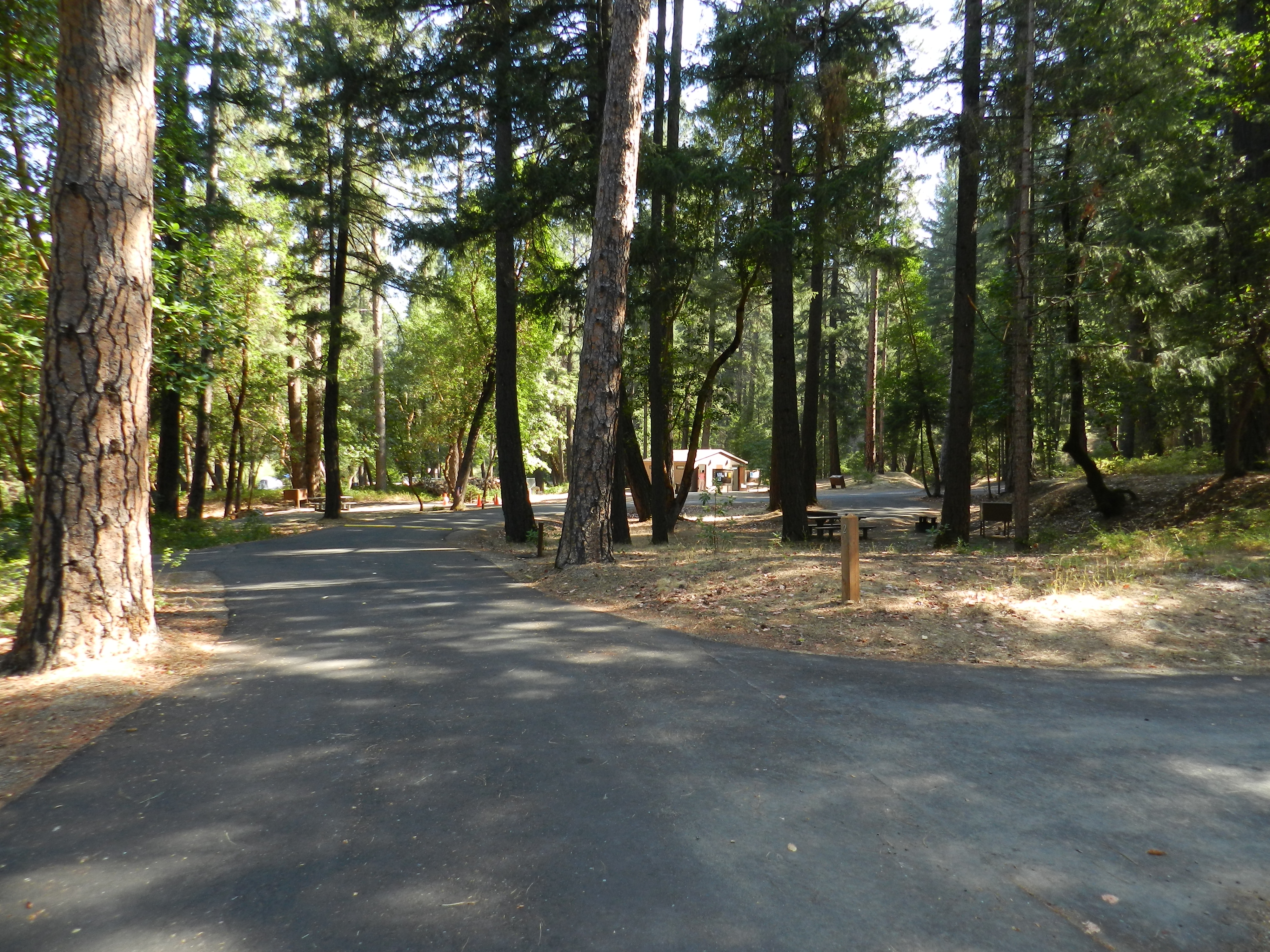 Camp at Douglas City Campground