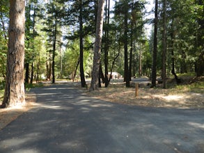 Camp at Douglas City Campground