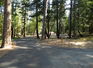 Camp at Douglas City Campground