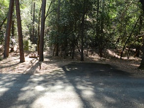 Camp at Junction City Campground