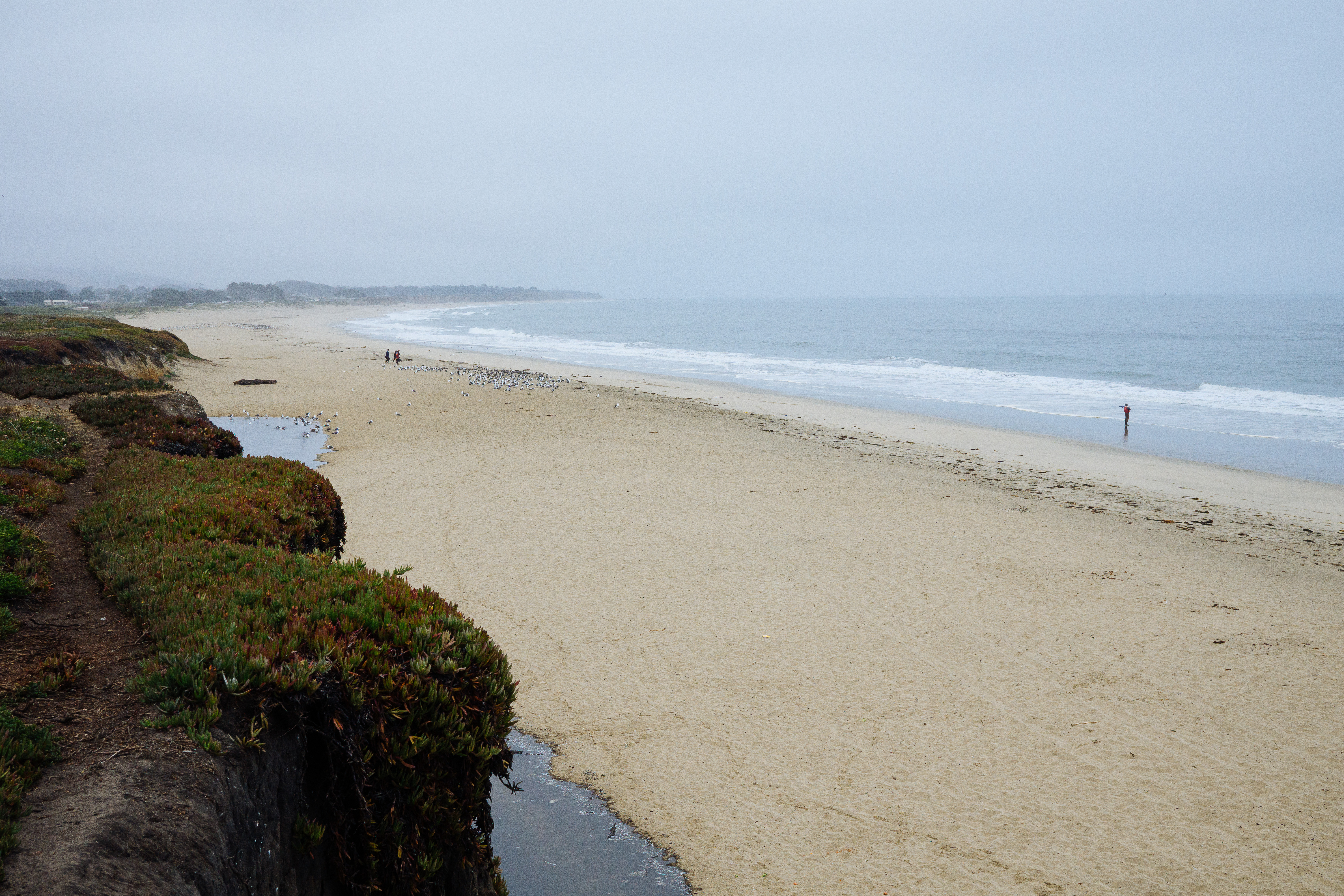 Half Moon Bay Coastal Trail