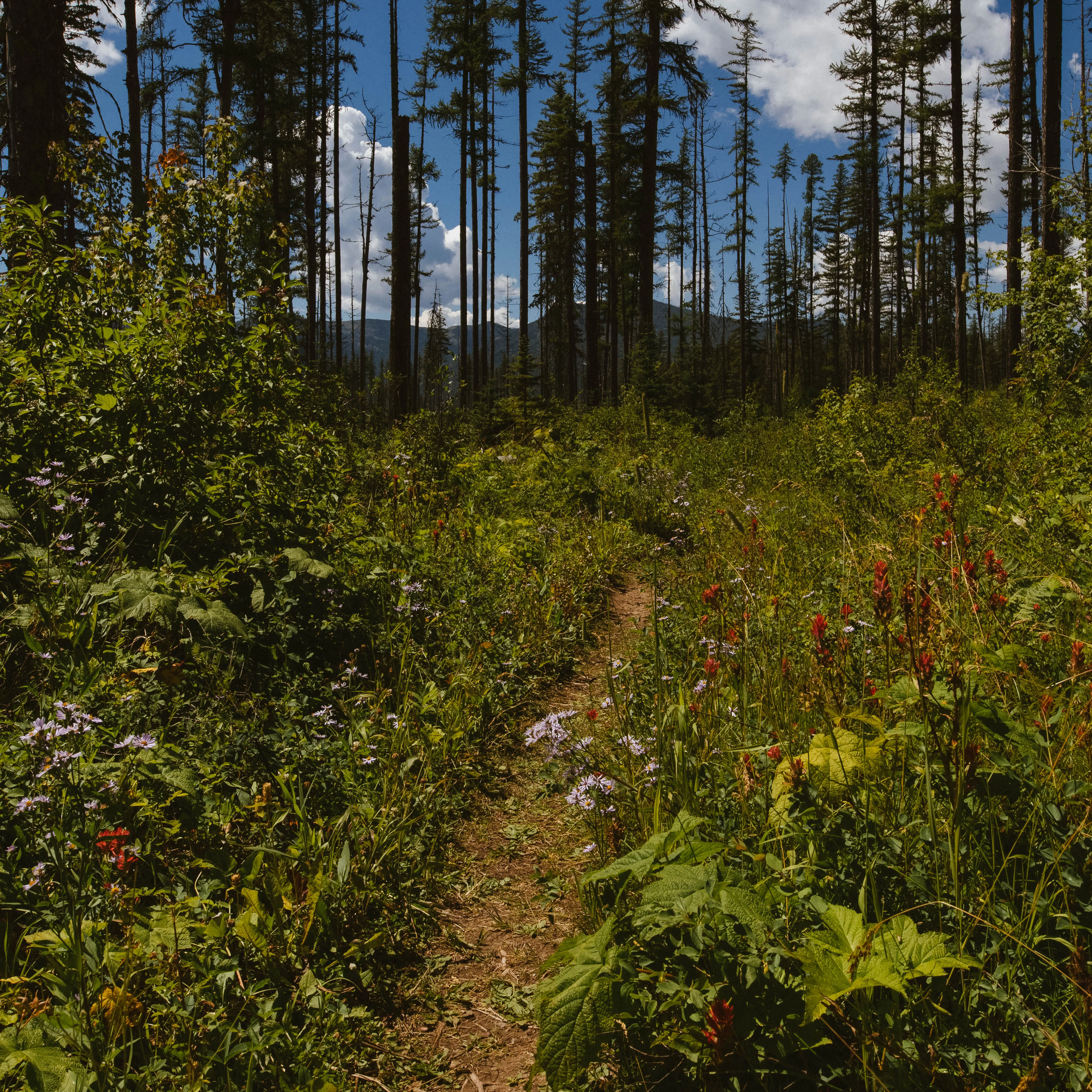 Hike to Howe Lake