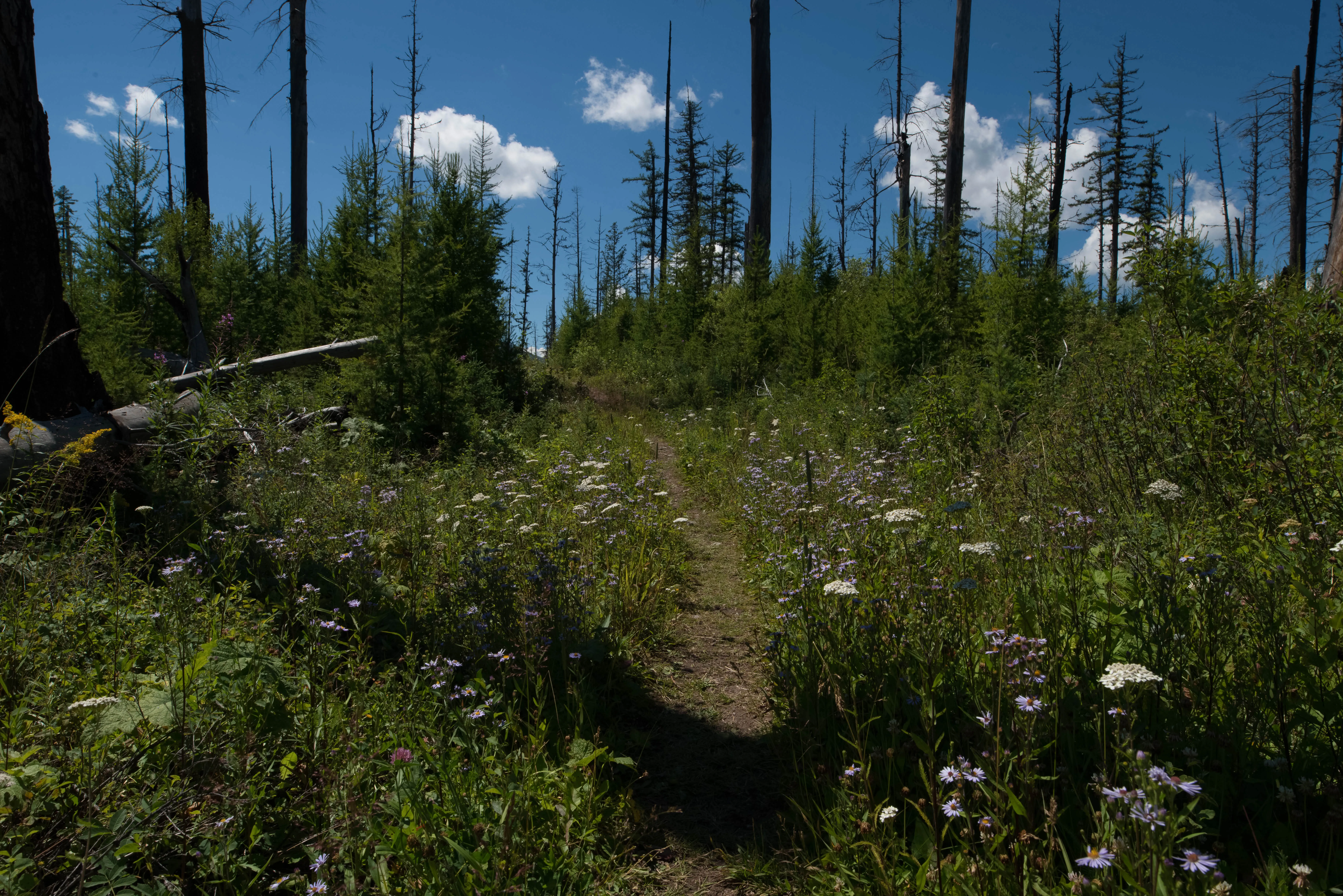 Hike to Howe Lake