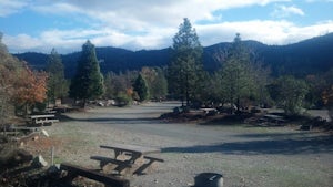 Camp at Shasta Campground