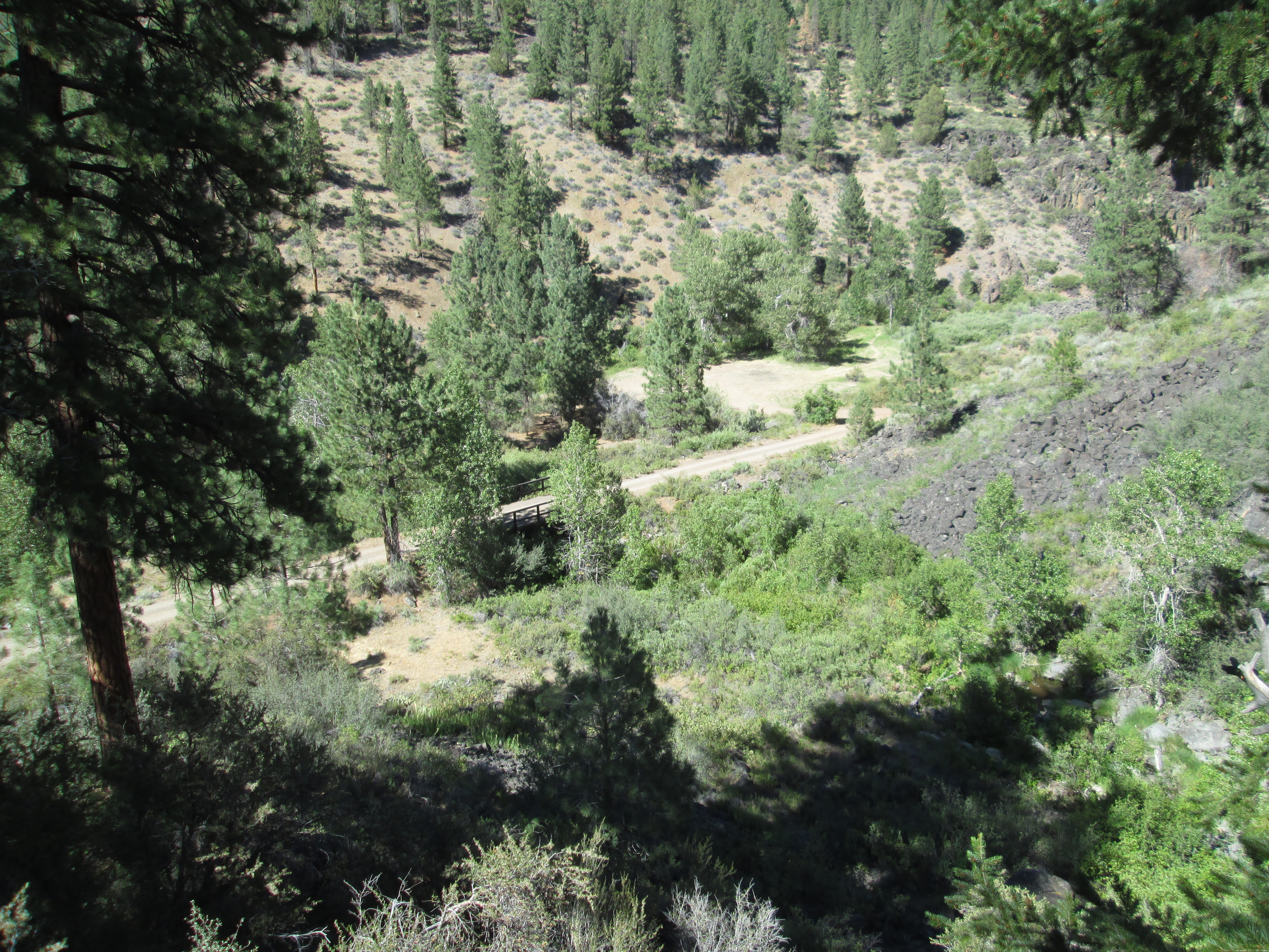 Camp at ​Cheney Creek Primitive Campsite