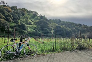 5 Benefits of Exploring on Your Bike
