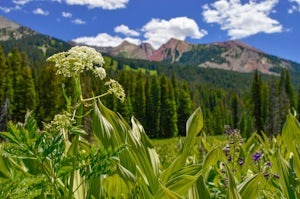 Hike Rustler's Gulch