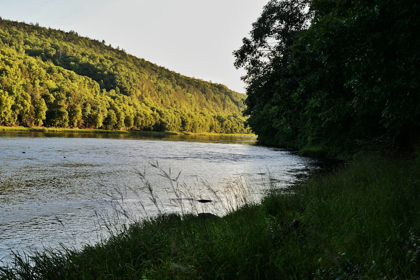 Photo of Camp Along The Delaware River in Pond Eddy