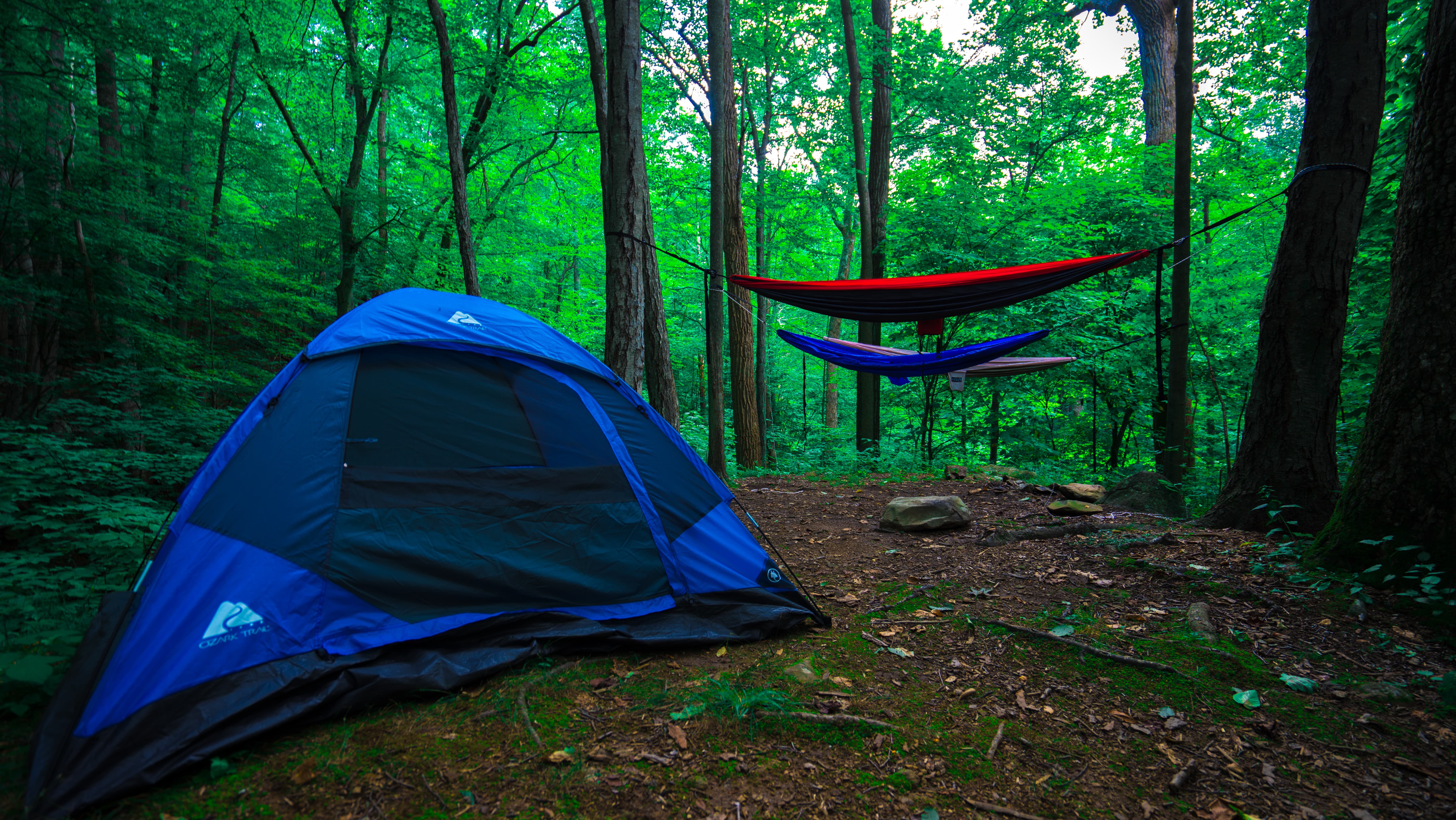 The Best Backpacking In And Near Shenandoah National Park Virginia