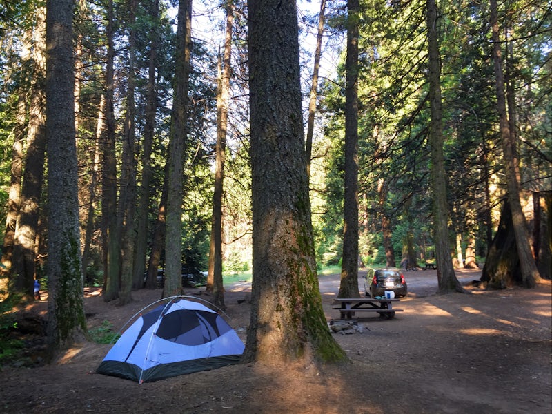 Photo of Camp at Nelder Grove Campground in Sierra National Forest