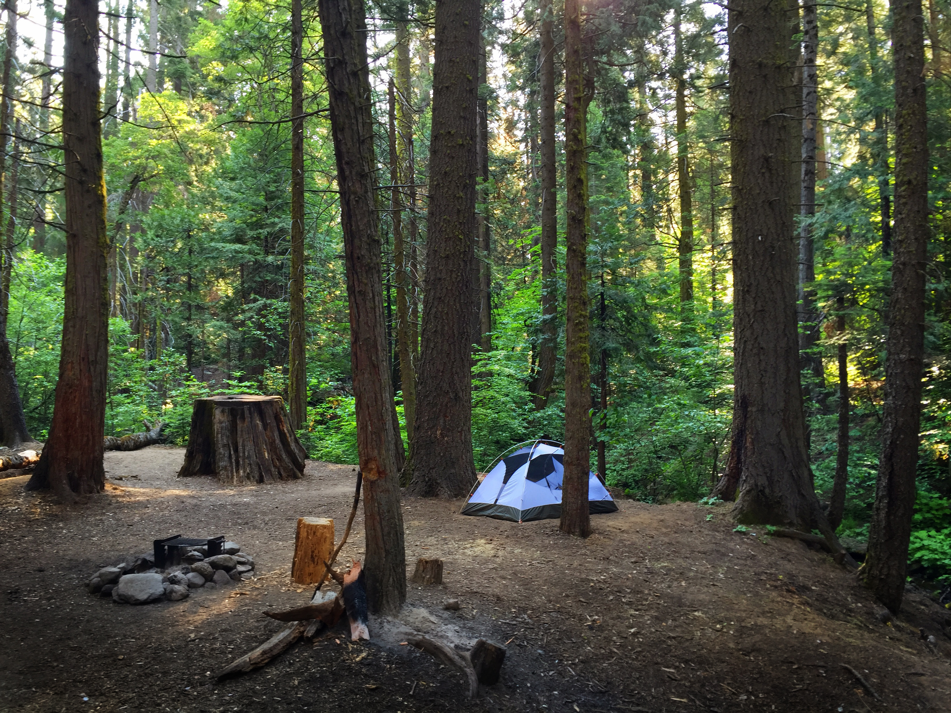 Camp At Nelder Grove Campground In Sierra National Forest, Oakhurst ...