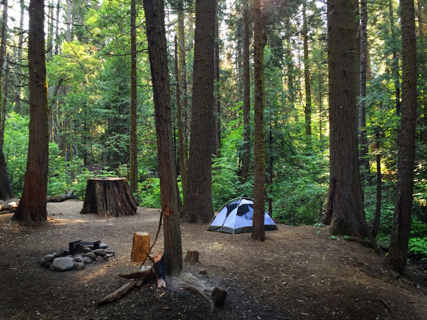 Camp at Nelder Grove Campground in Sierra National Forest, Nelder Grove ...