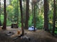 Camp at Nelder Grove Campground in Sierra National Forest
