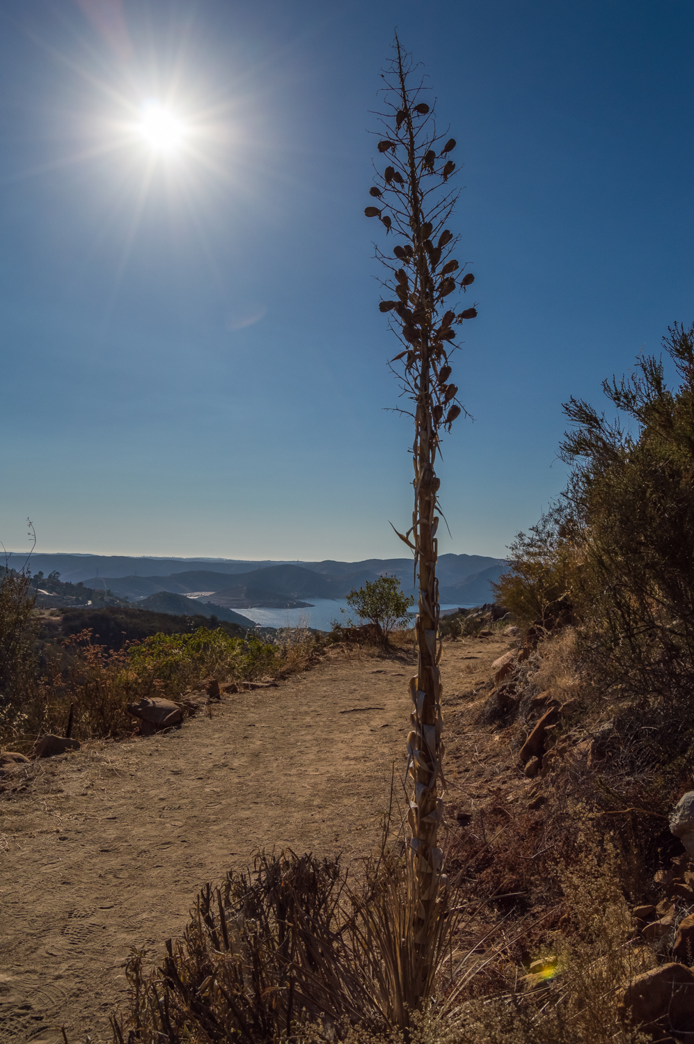 Hike the Oakoasis Open Space Preserve