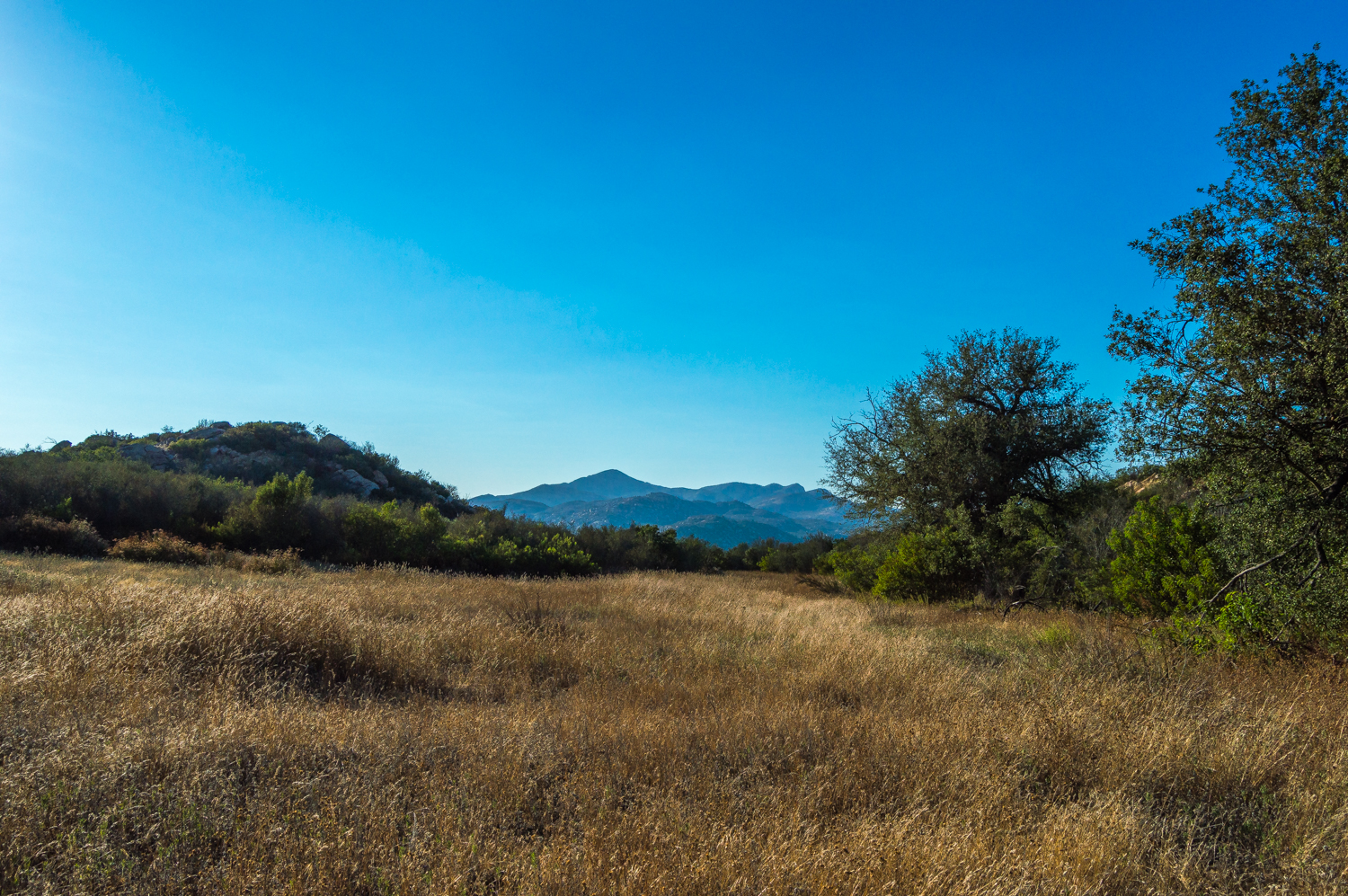 Hike the Oakoasis Open Space Preserve