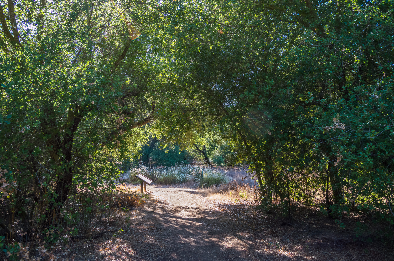 Hike the Oakoasis Open Space Preserve