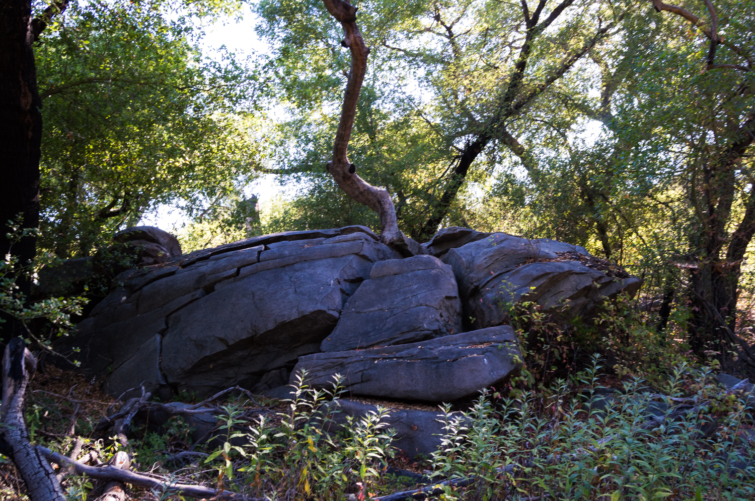 Hike the Oakoasis Open Space Preserve