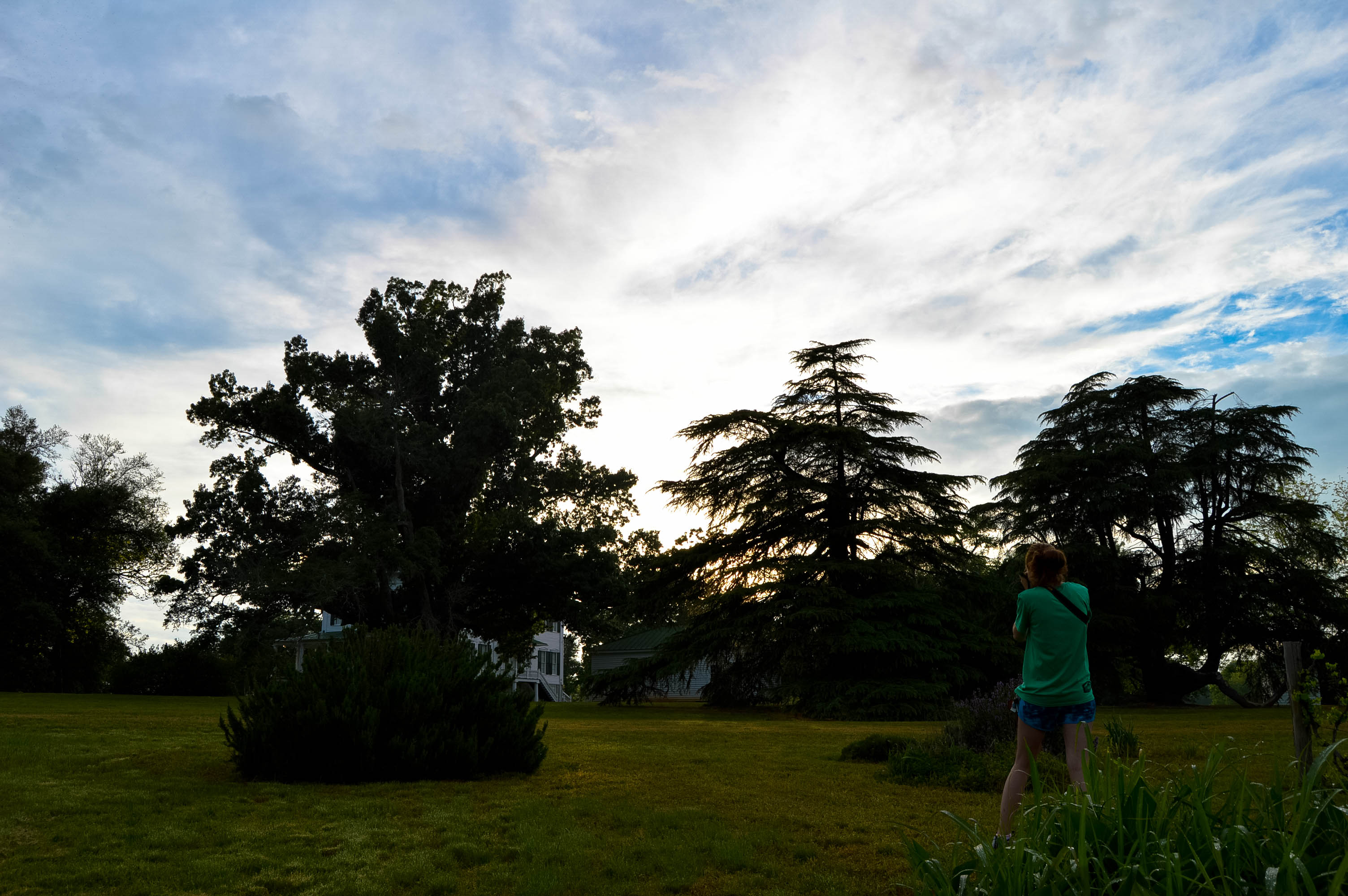 Redcliffe Plantation