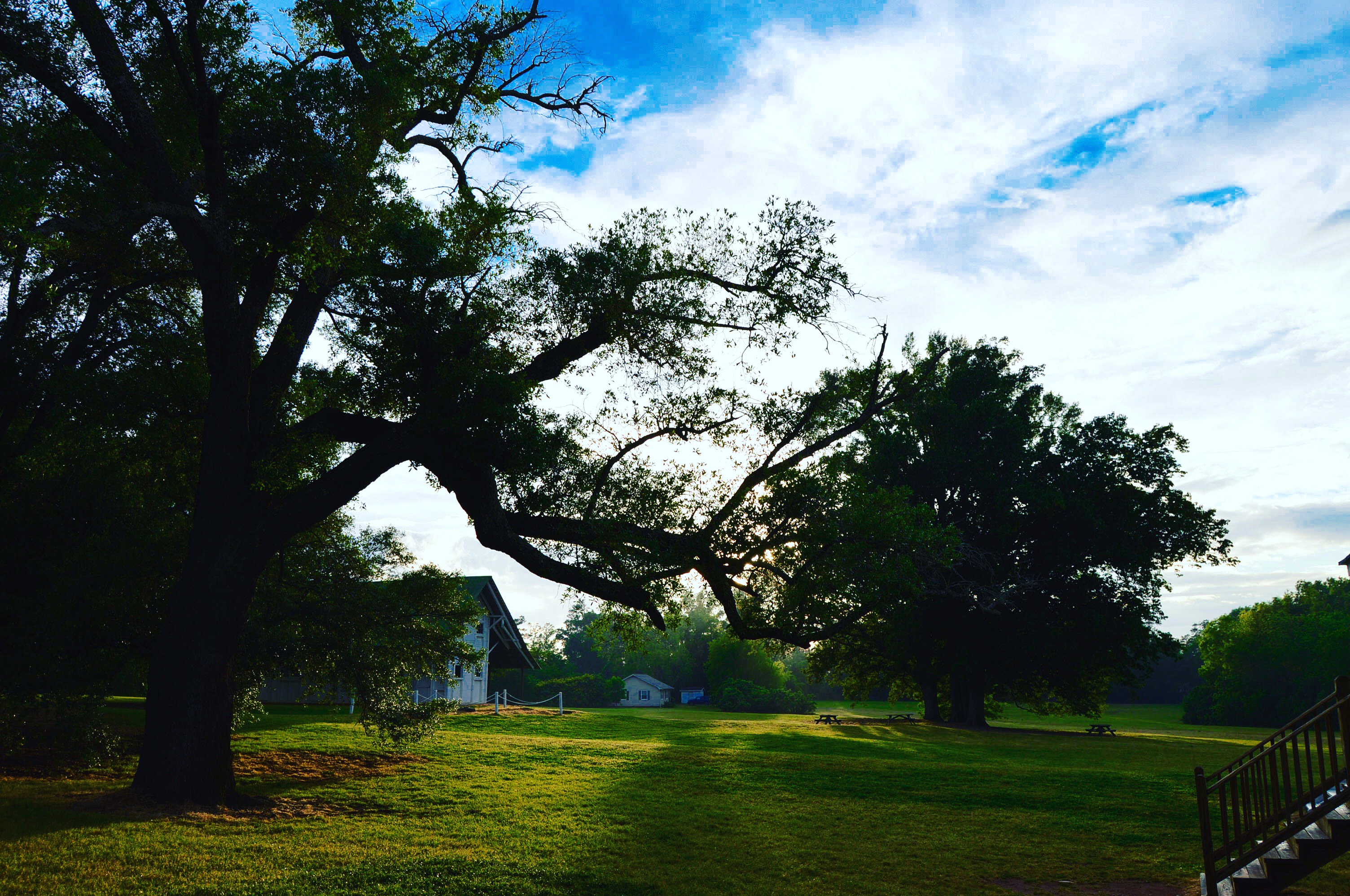 Redcliffe Plantation