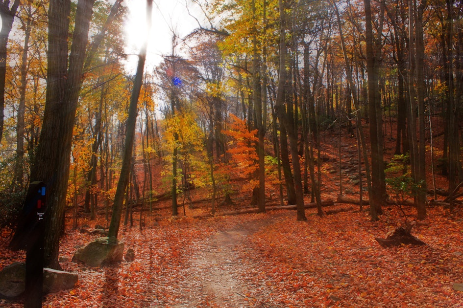Hike the Sugarloaf Mountain Trail, Sugarloaf Mountain Trailhead