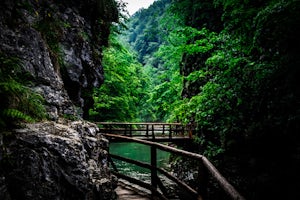 Hike the Vintgar Gorge 