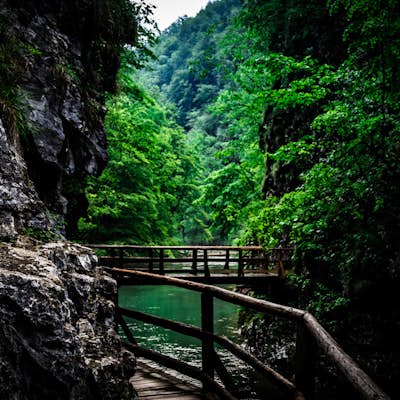 Hike the Vintgar Gorge 