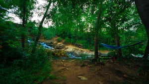 Swim at Aqueduct Park (Rae's Creek)