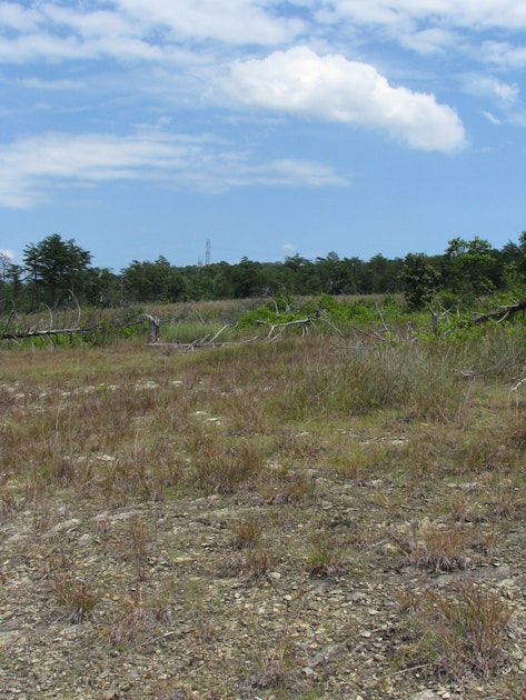 Hike the Soldiers DelightSerpentine Trail, Maryland