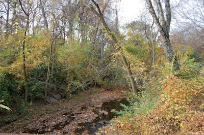 Hike the Sligo Creek Trail