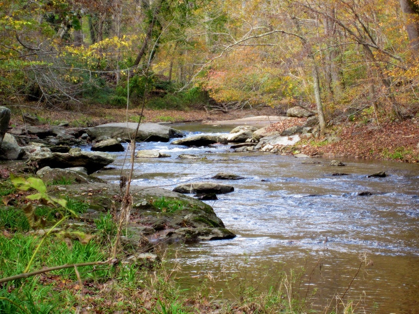 Hike the Gunpowder Falls North and South Loop Trail, Gunpowder Falls ...