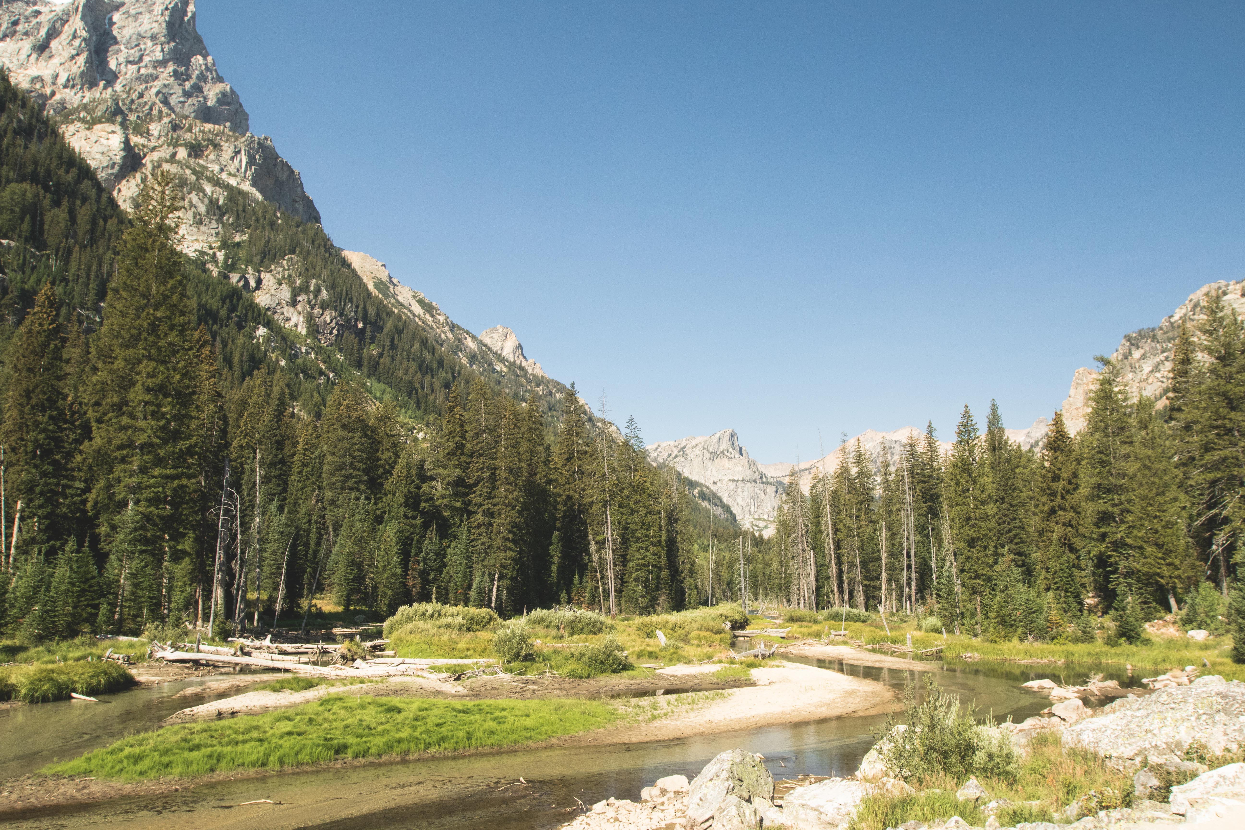 Hike to Lake Solitude 