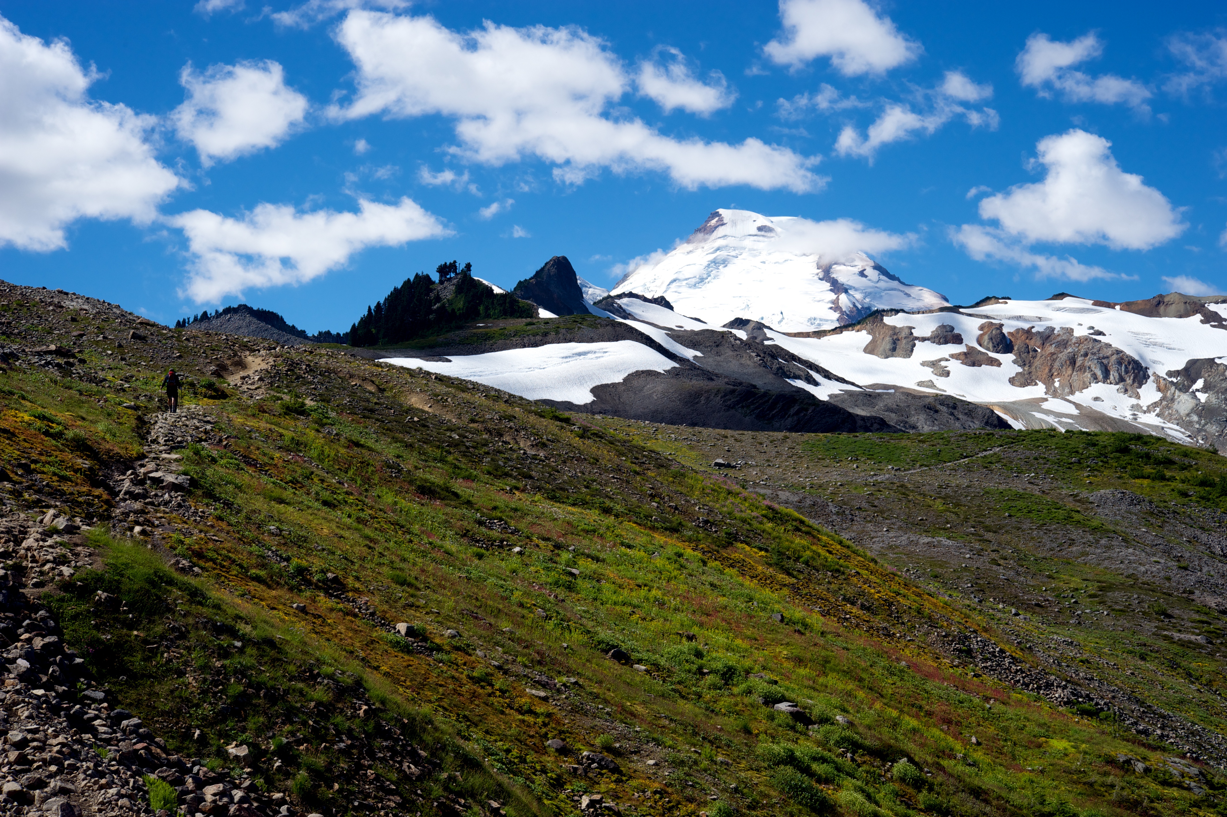 Hike Ptarmigan Ridge in the North Cascades