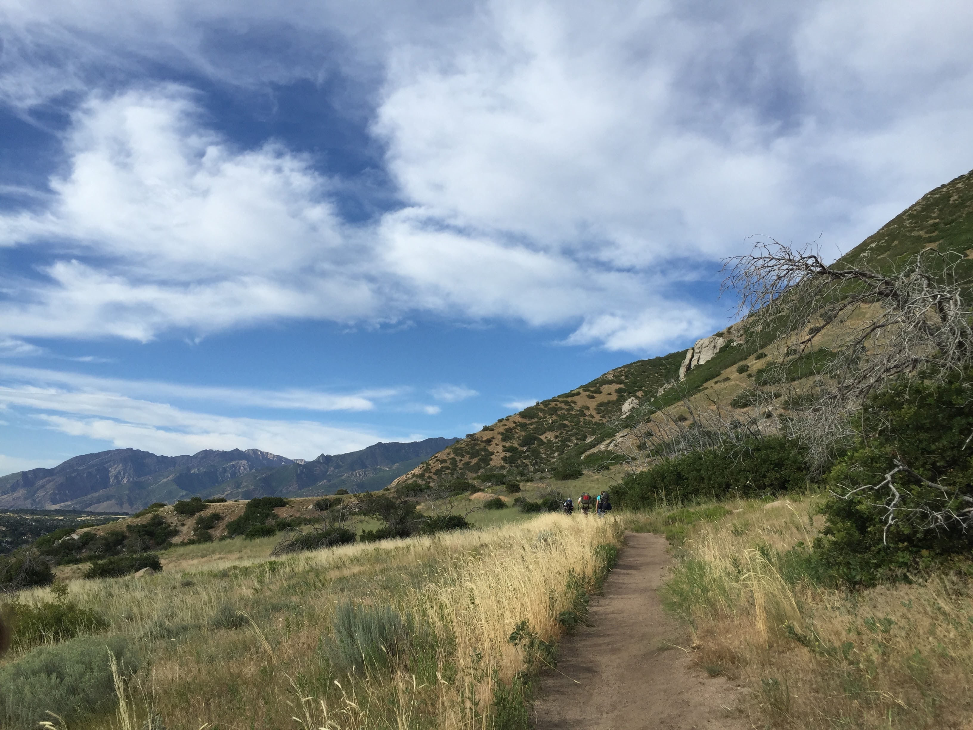 Lone Peak via the Cherry Creek Logging Trail