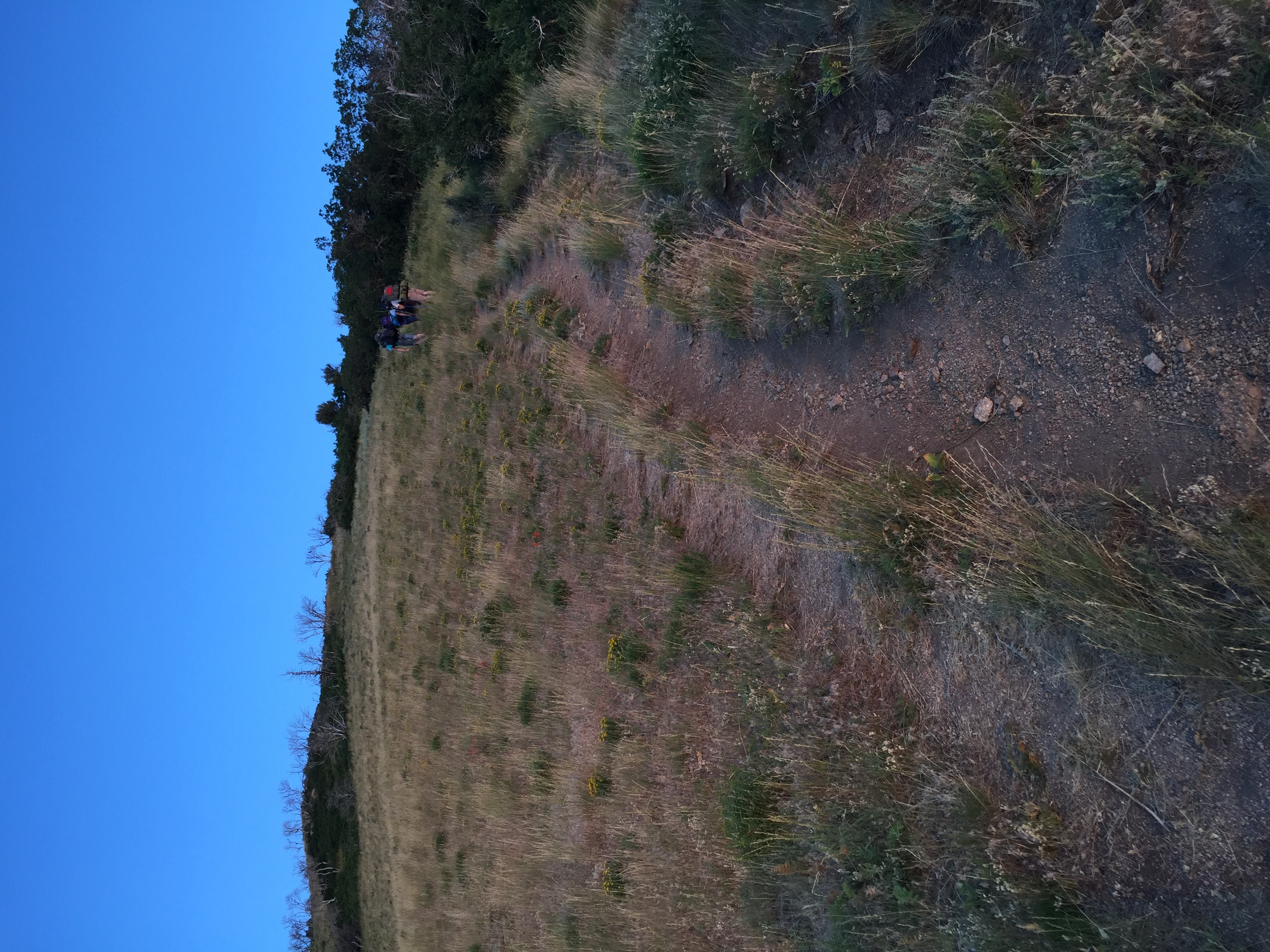Lone Peak via the Cherry Creek Logging Trail