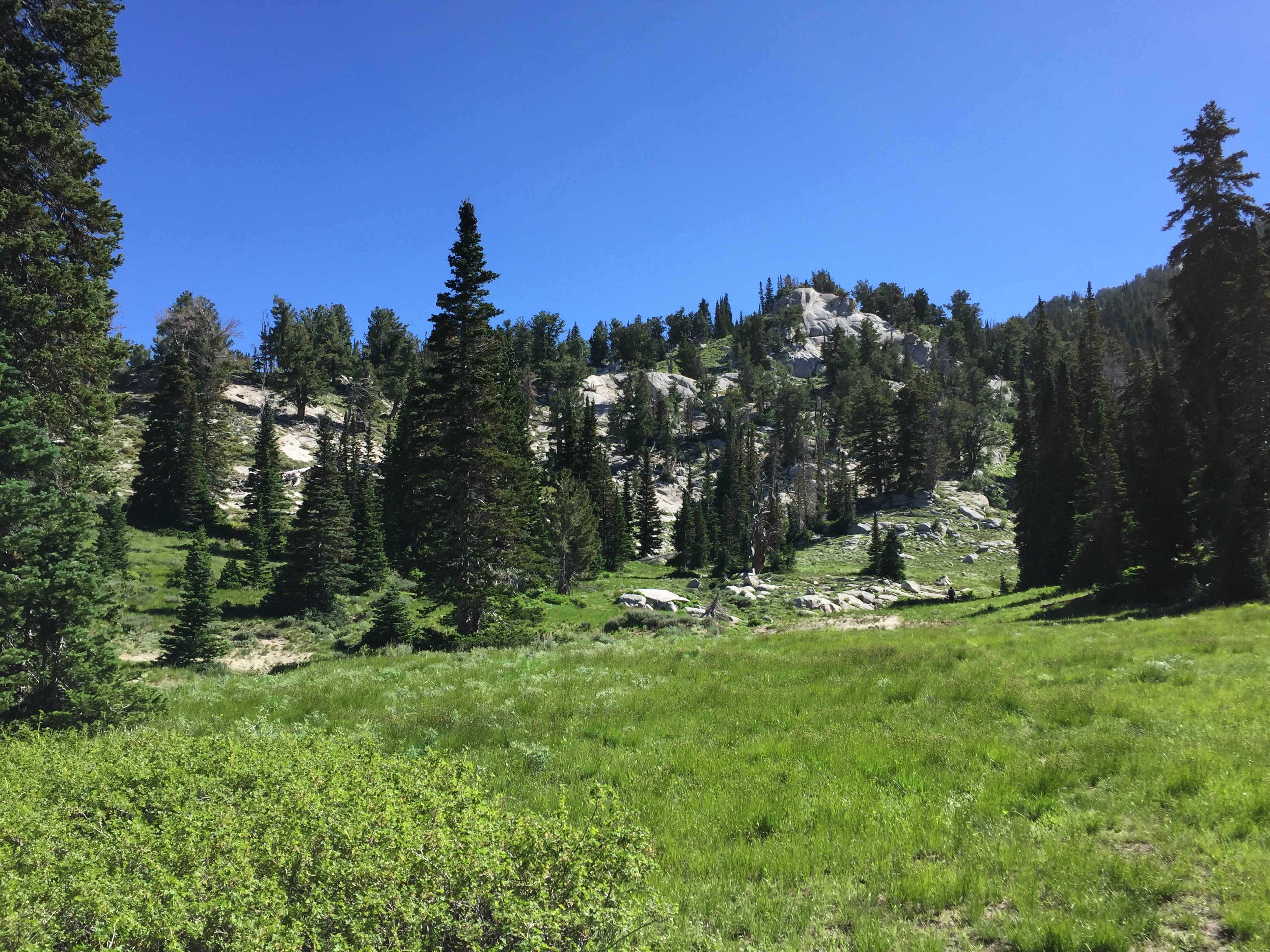 Lone Peak via the Cherry Creek Logging Trail