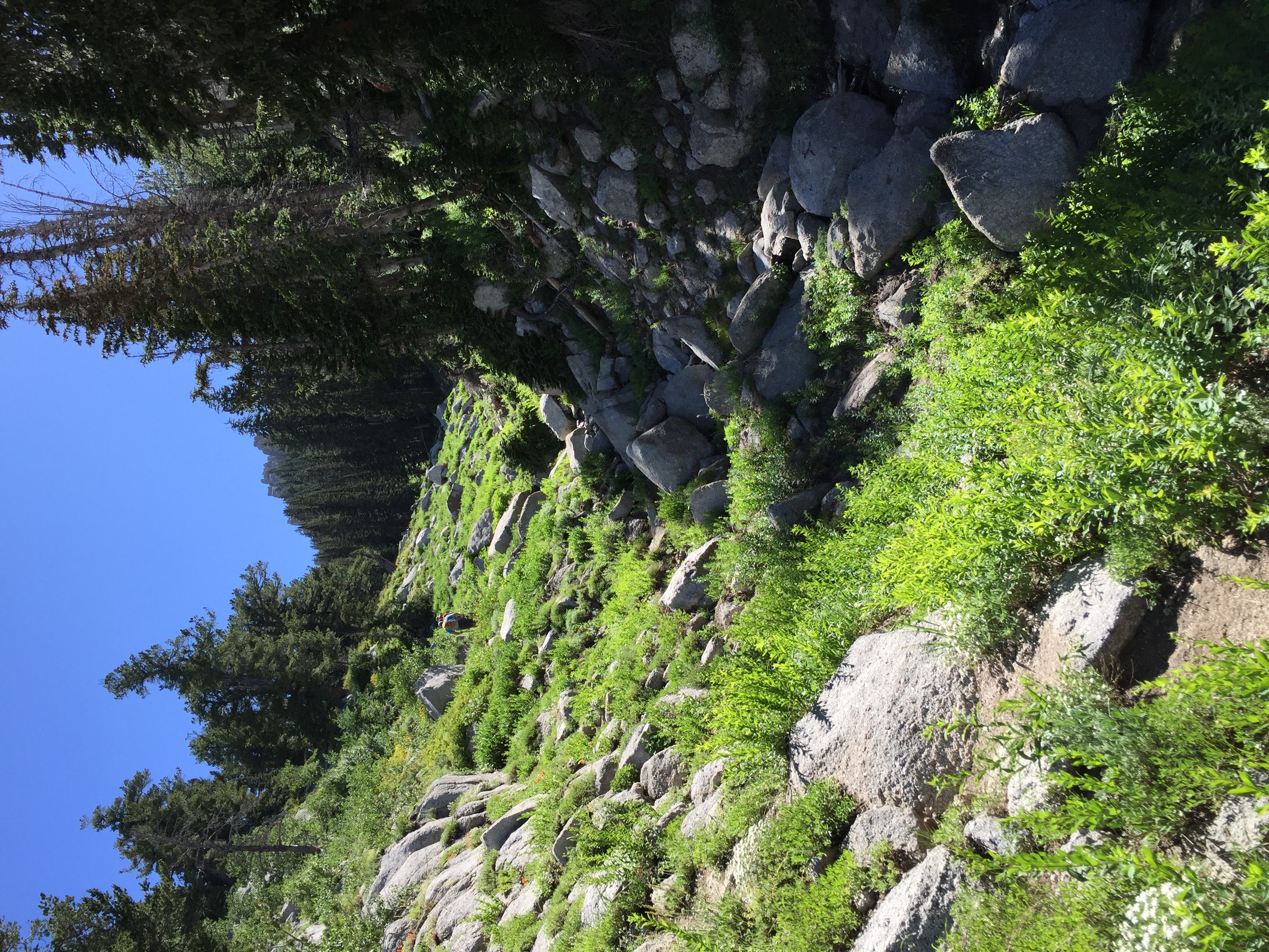 Lone Peak via the Cherry Creek Logging Trail