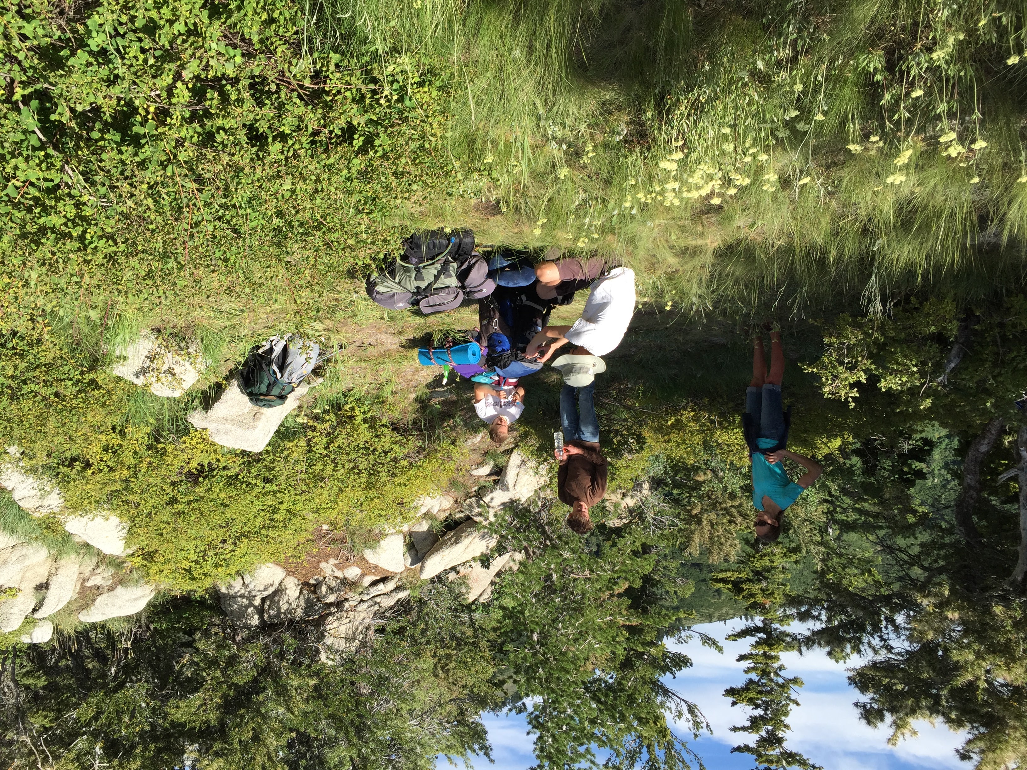 Lone Peak via the Cherry Creek Logging Trail
