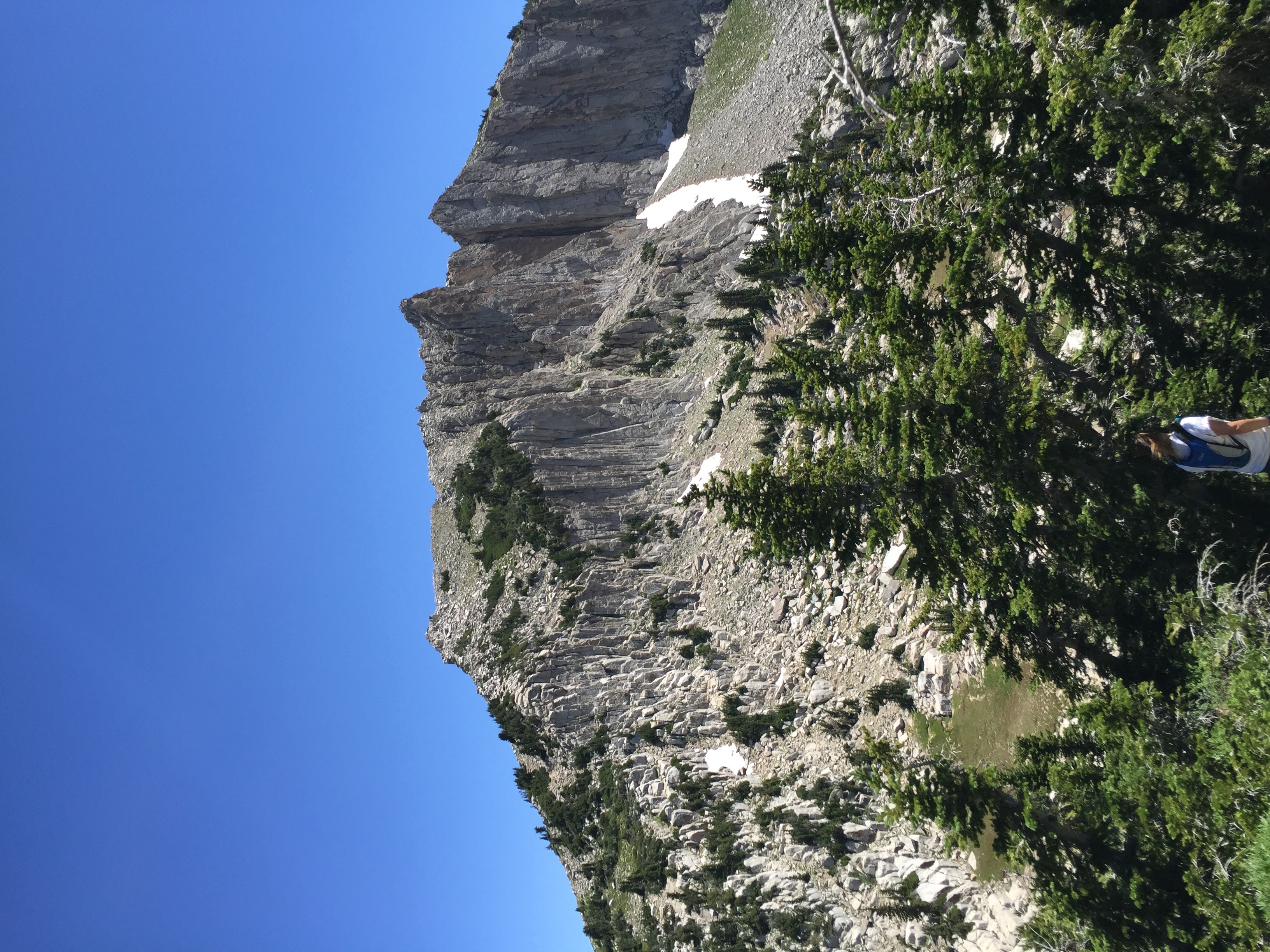 Lone Peak via the Cherry Creek Logging Trail