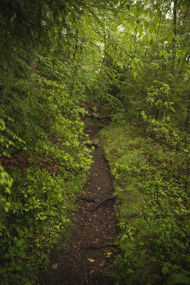  Hike the Blackstone Gorge Trail