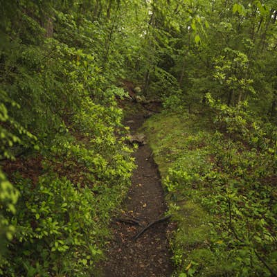  Hike the Blackstone Gorge Trail