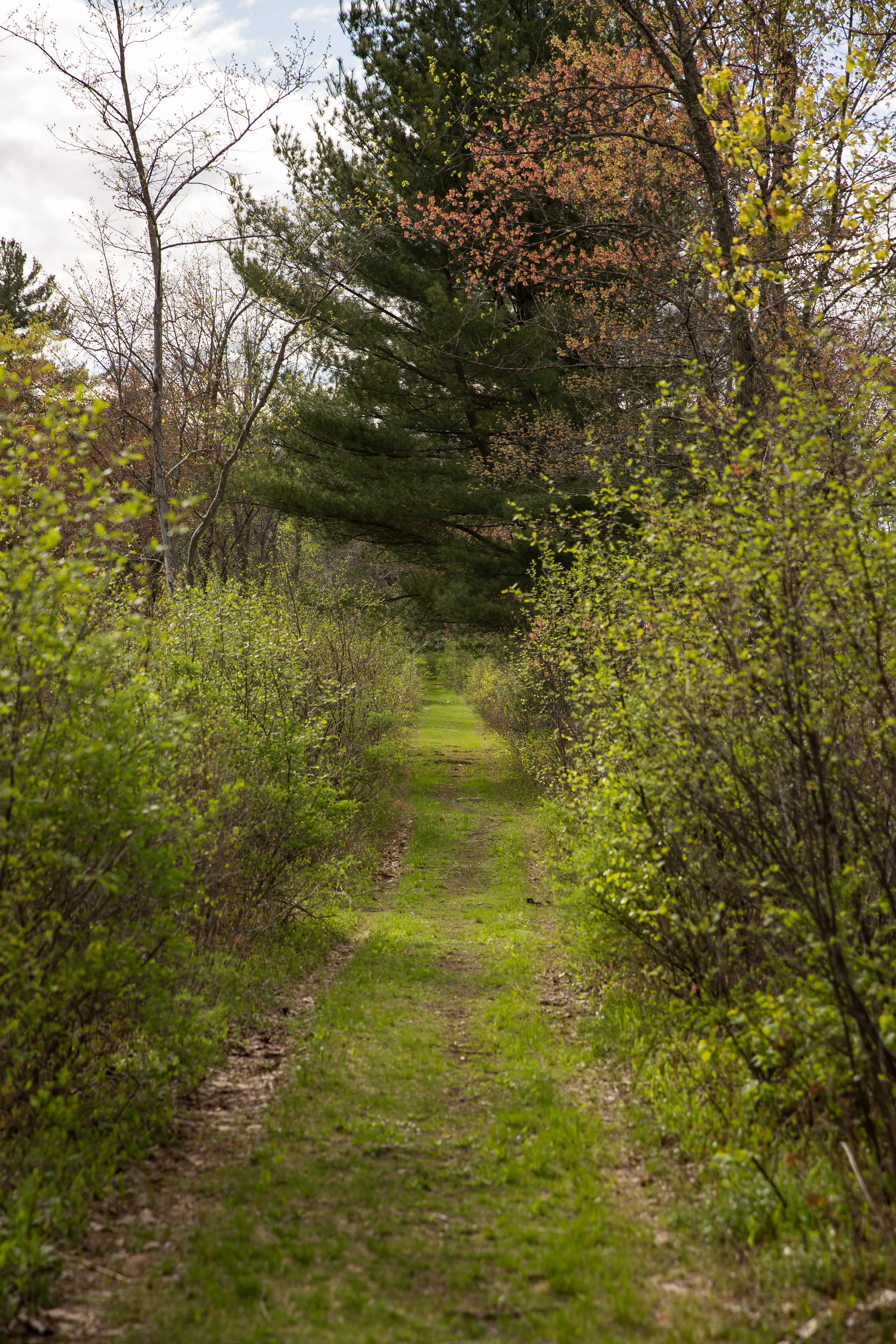 Hike along the Nashua River and the Oxbow National Wildlife Refuge